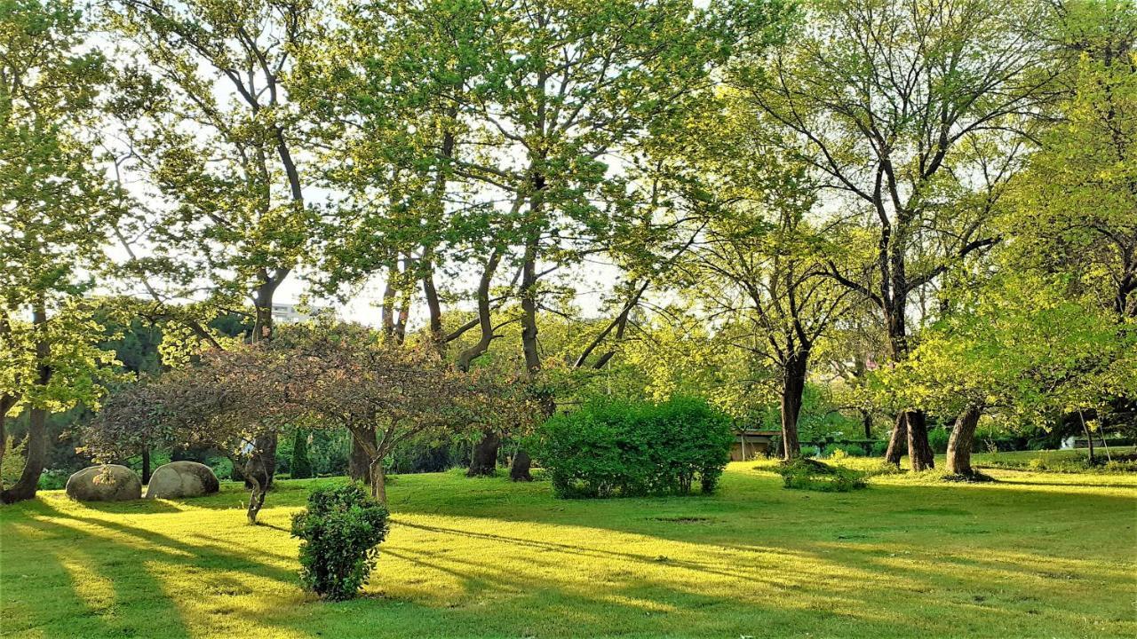 Sunny Days - Park Apartment Sandanski Dış mekan fotoğraf